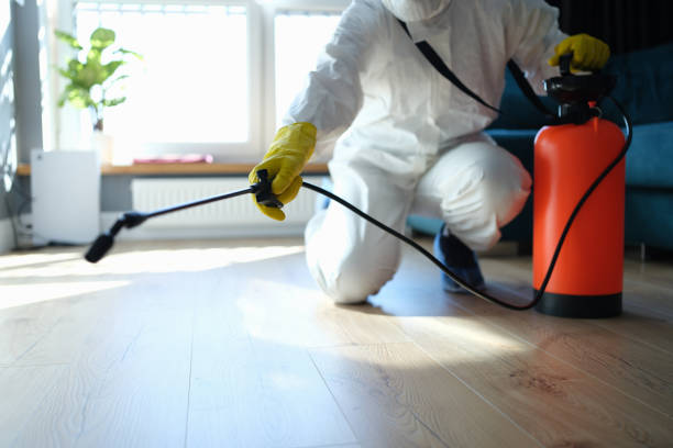 Reliable Biohazard contractor in Springville, CA by Dulley Family Biohazard Services